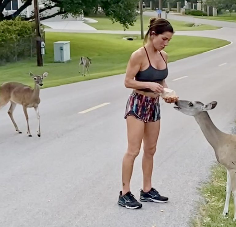 This is Albie, one of the does who'd follow us on our walk